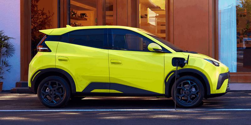 BYD ATTO 1: An der Ladestation